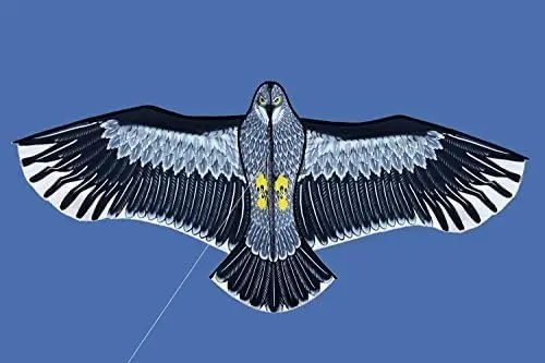 New  Outdoor Fun Sports Huge 185cm Eagle Kite With Handle Line Novelty Toy Kites For Adult /Kids Large Good Flying 2