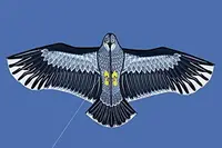 New  Outdoor Fun Sports Huge 185cm Eagle Kite With Handle Line Novelty Toy Kites For Adult /Kids Large Good Flying 2