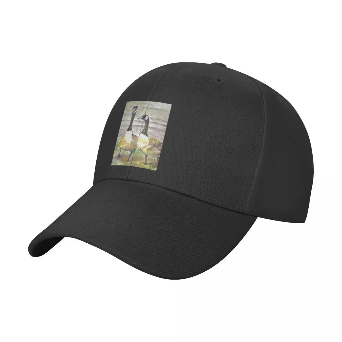 

Geese, A geese couple enjoying their environs Baseball Cap Rugby fishing hat Luxury Brand Men Luxury Brand Women's