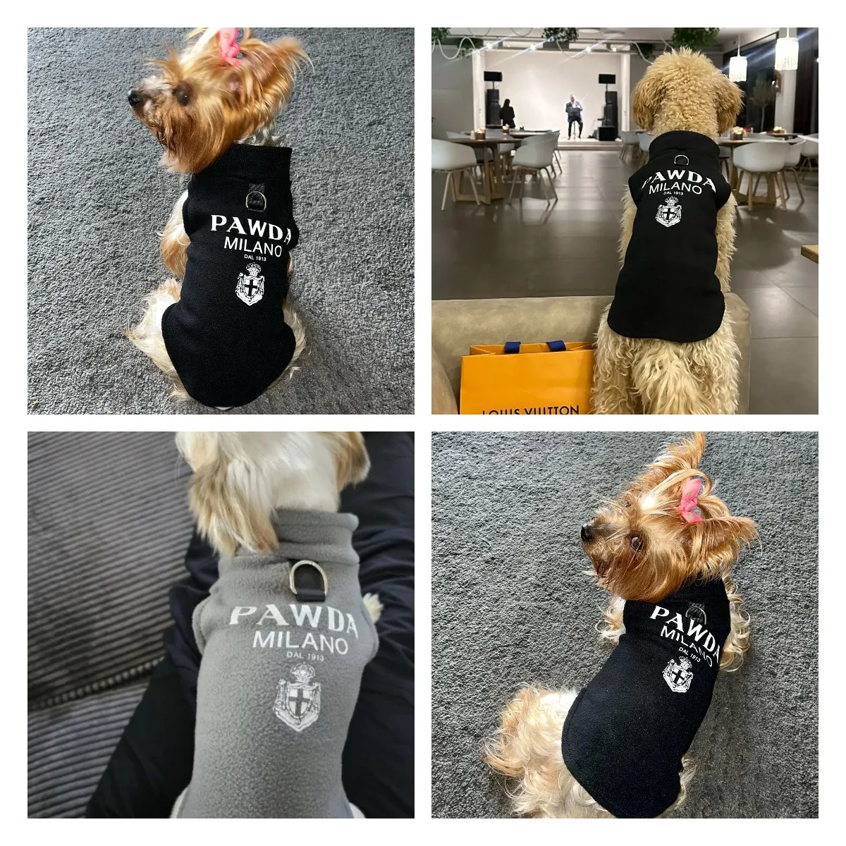 Pawda Polar Fleece Dog Clothes dog clothes dog vest Icon Autumn Spring & Tow Buckle Small Medium For Chihuahua Teddy Yorkshire Warm Singlet Streetwear