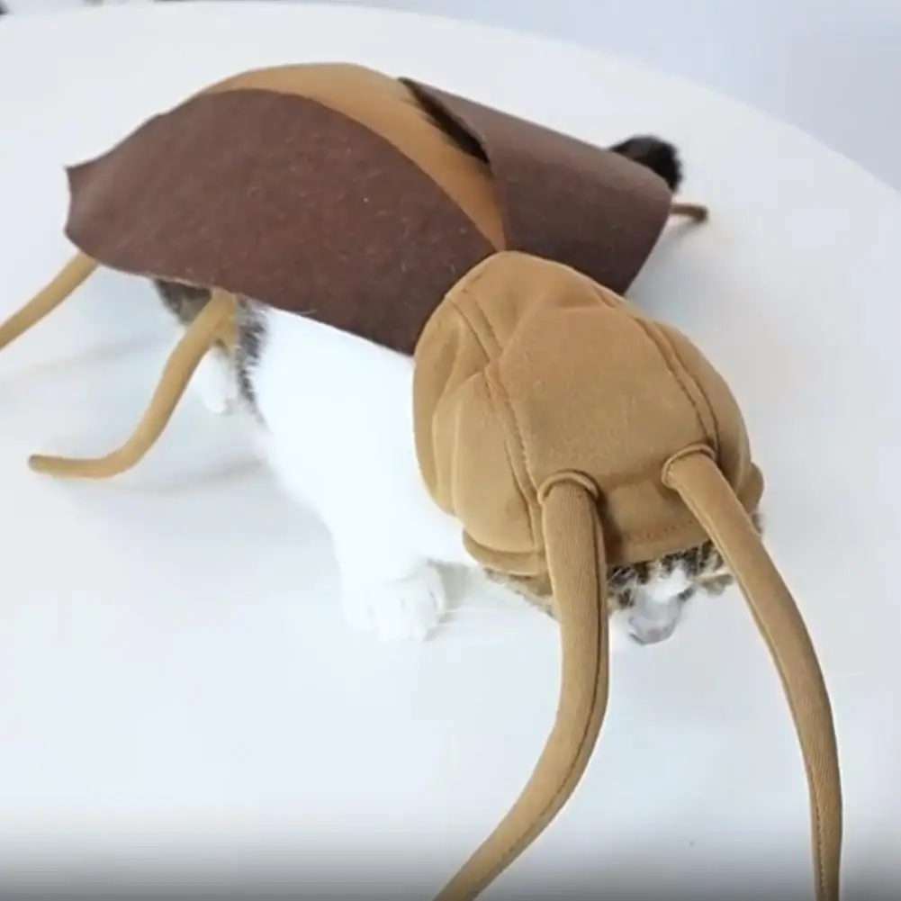 Halloween Cockroach Costume for Cats and Small Dogs 1