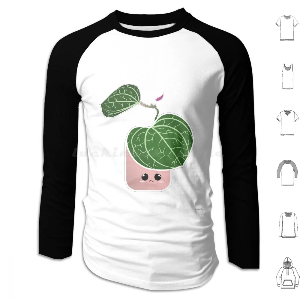 Hoya Sarawk Felpa Con Cappuccio In Cotone Manica Lunga Hoya Piante D'Appartamento Plant Lady Kutaii Cute Plant Addict Plant Mom Quarantena