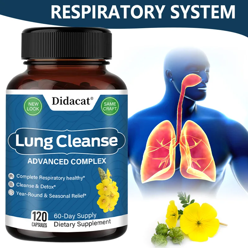 Mullein, Quercetin and Cordyceps Extract-Support lung detoxification, immune system and respiratory health, 30/60/120 capsules