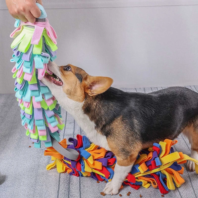 Interactive Brain Toy for Dogs