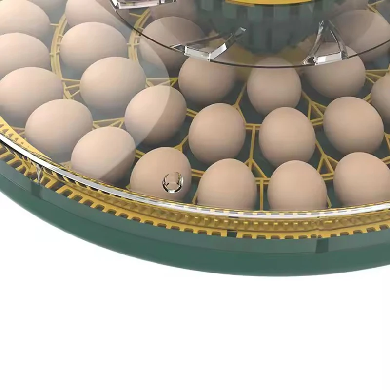 Wonegg Dual Power Capacity 52 Egg Automatic Incubator Hatching Eggs Machine for Chicken Duck Quail Birds egg incubator controller