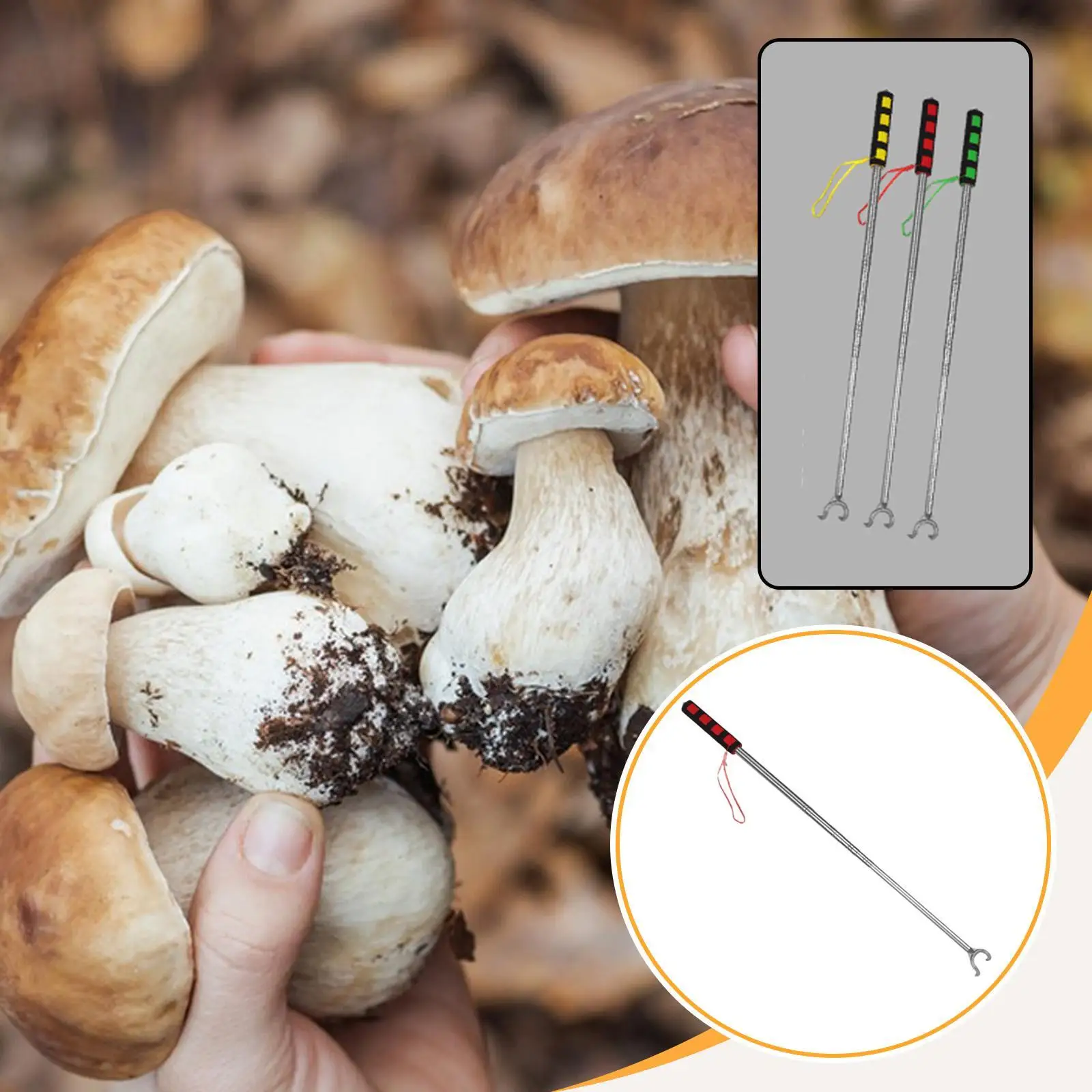 Mushroom Picking Tool Stainless Steel Adjustable Extendable Two Prong Hook Mushroom Foraging Picker Telescopic Pick up Tool Mushroom Picking Tool Stainless Steel Adjustable Extendable Two Prong Hook Mushroom Foraging Picker Telescopic Pick up Tool