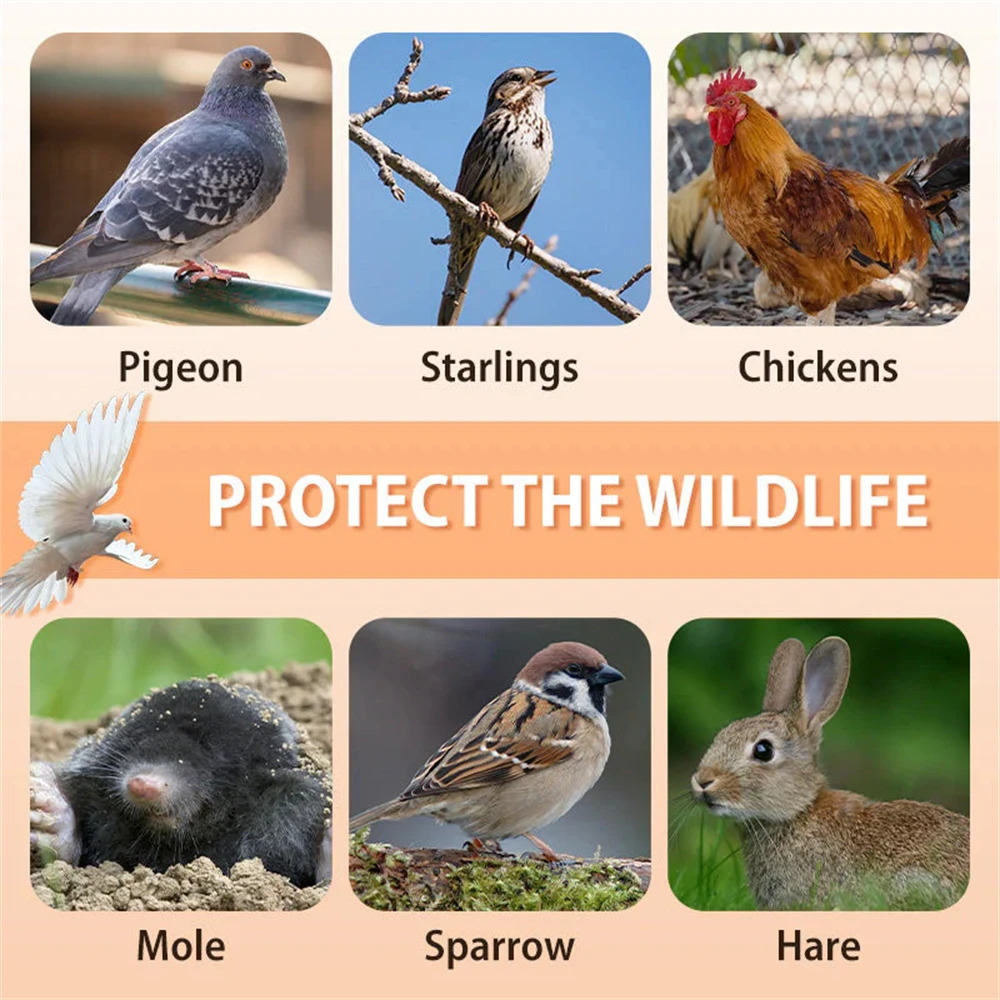 New Auto Trap Bird Cage Rabbit Cage Mouse Entry Only and No Exit Thickened and Encrypted Automatic Pigeon Collecting Tool