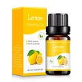 Lemon 1pcs