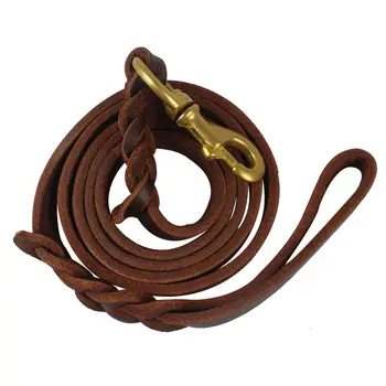 Braided Leather Dog Training Leash 1