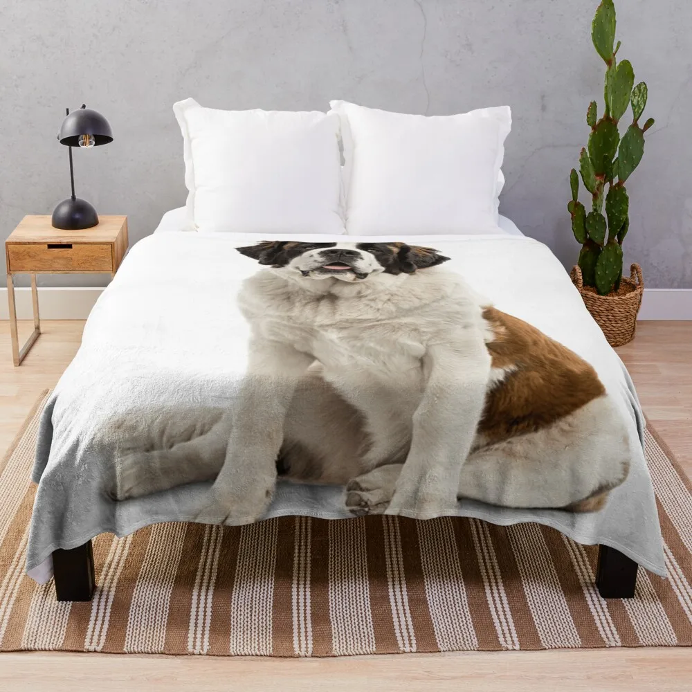 

A Patient St. Bernard Throw Blanket Plaid Sofa Blankets Thin Blankets
