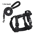 Black with leash