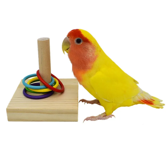 Parrot Training Toy Set 5