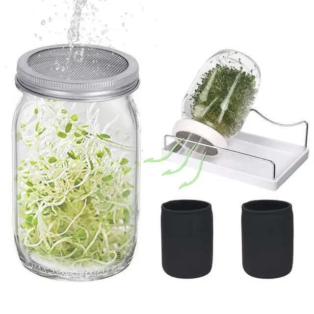 Vetőmagcsíráló Üvegek 2Db 950 Ml Csírázott Üveg Kőműves Üvegedénybe Helyezett Széles Szájú Csírázó Edények Rozsdamentes Acélból Készült Csírázókkal