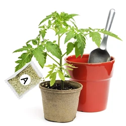 Concentrated Hydroponic Garden Fertilizer for Enhanced Plant Growth