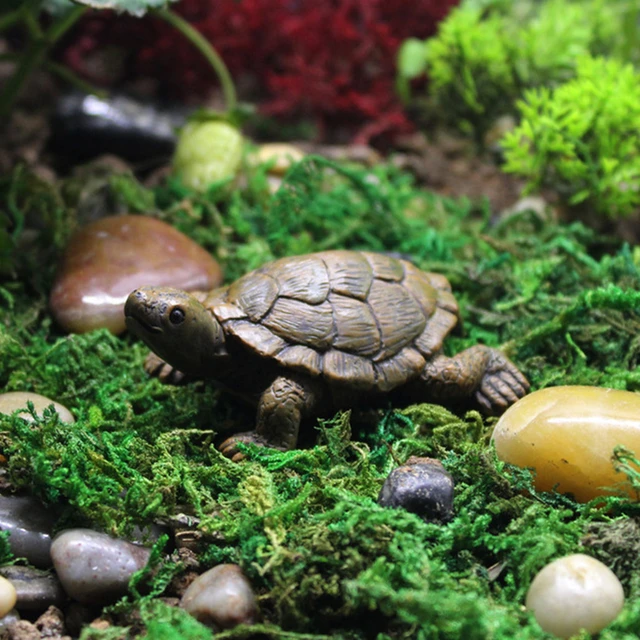 Mini Turtles Miniature Figurines Turtle Simulation Wresin Statue for Home  Decor,SimulationAnimal Resin Garden Ornaments Realistic Sea Turtles Resin