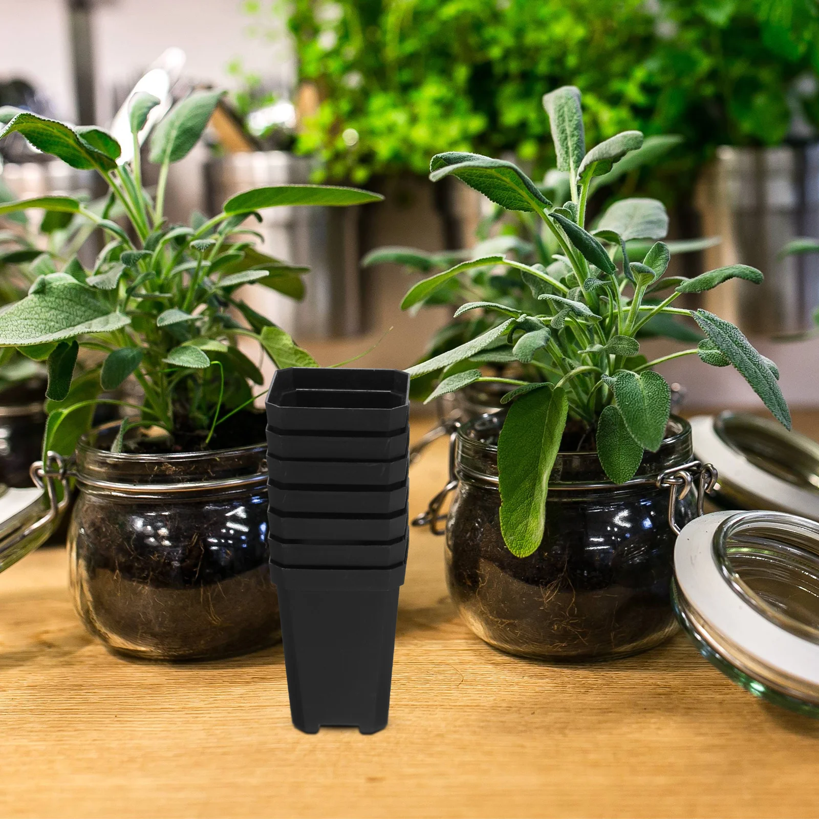 

1 Set of Nursery Plant Pot Garden Planting Pots Tools Small Lidded Plants Pots with Clear Lid