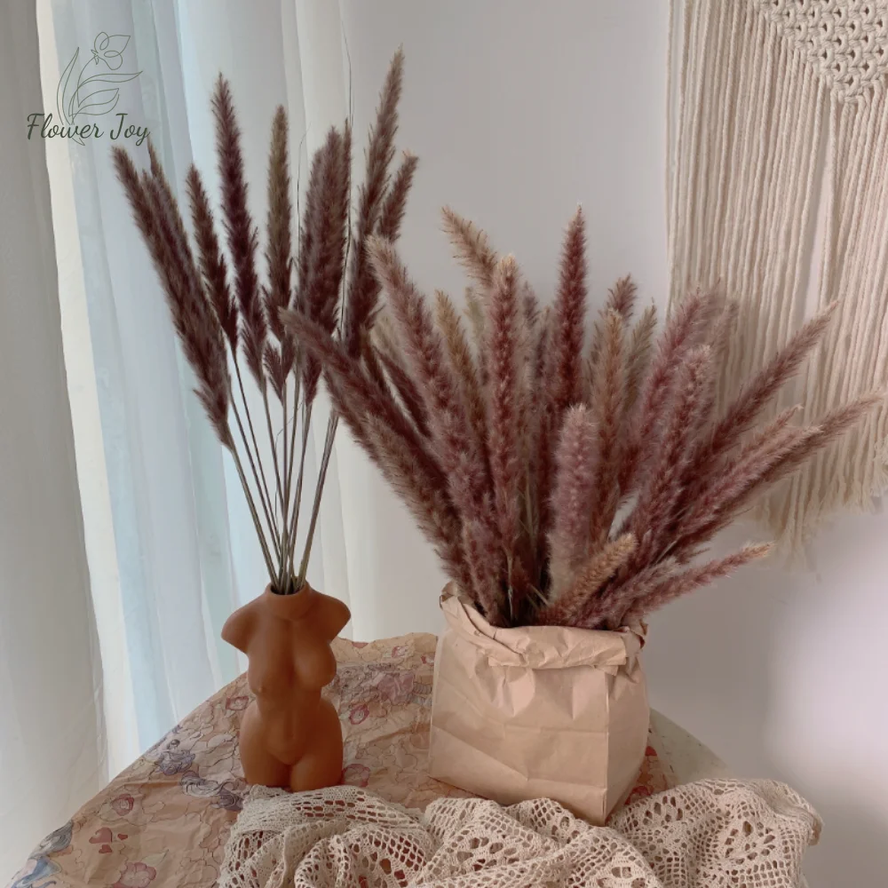 

30PCS Fluffy Pampas Grass Nature Dried Flower Bouquet Diy Home Decor Phragmites Plant Artifical Flowers Boho Wedding Decoration