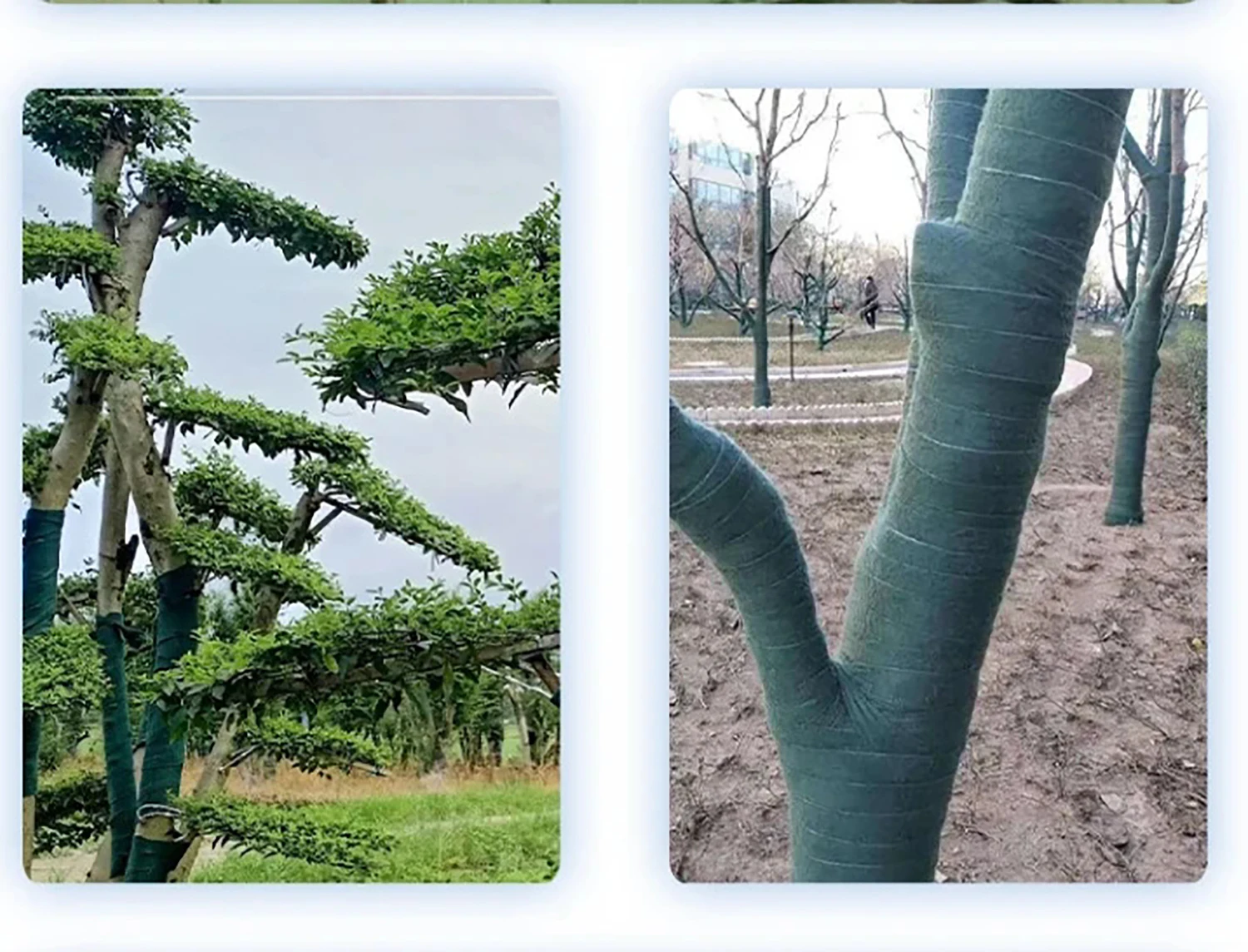 20 m/Rolle Baum Winter Wrap Baum Stamm Frostschutz Band Baum Warm Halten Schutz Garten Park Obstgarten Baum winter Pflege Liefert – Detail 14