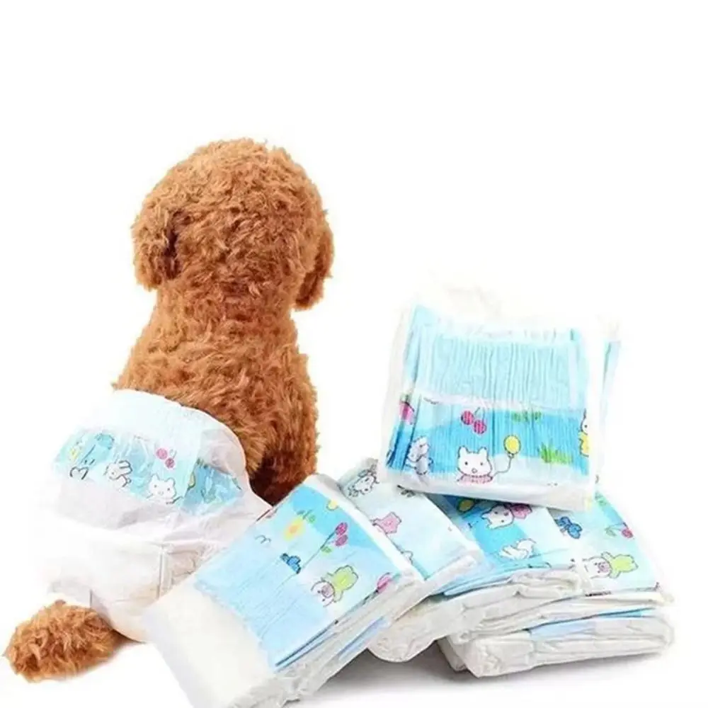 슈퍼 흡수 생리 바지, 소형견용 개 기저귀, 여성 개 토끼 일회용 누출 방지 강아지 기저귀, 세트당 10 개