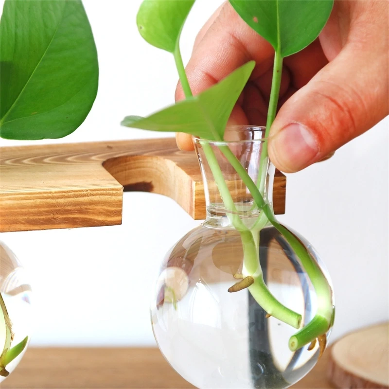 Desktops Plant Terrariums with Wooden Stand Propagations Stations Elegant Clear Glass Bulb Vase Planter for Hydroponics 3