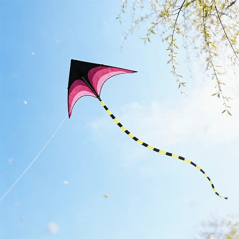 1,6 m Delta-Drachen, Winddrachen, Outdoor-Spielzeug für Kinder, Flugdrachen, Sport, Strand, professioneller Drachen, Oktopus-Drachen, Kevlar – Detail 5