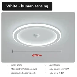 Smart LED Ceiling Light with Motion Sensor (Cool White)
