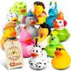 Rubber Ducks - 12 Piece Bulk Pack for Bath, Pool, Party, Cruise, Jeep Ducking, Decoration & More - Small Assorted Funny Toy Duck 1