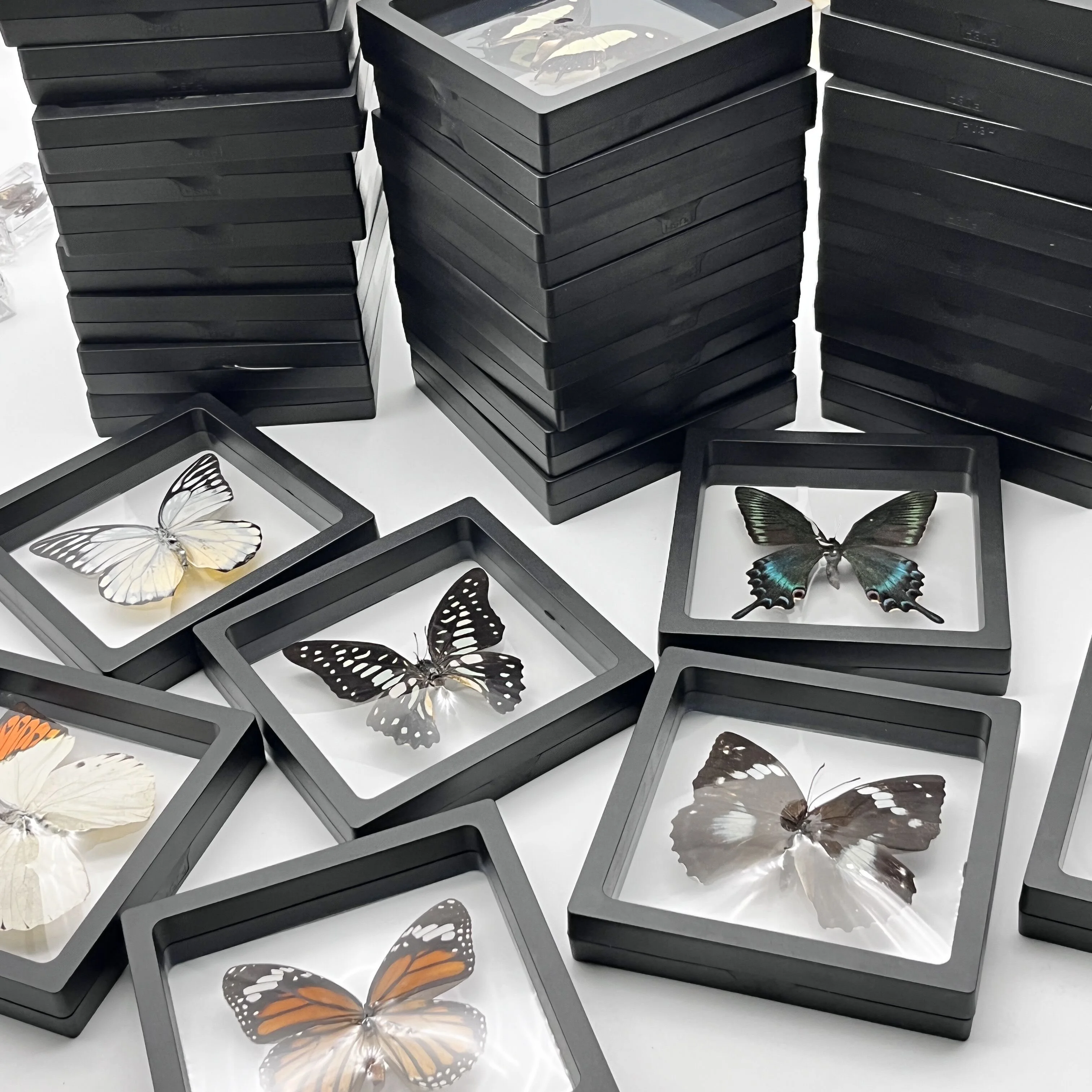 1pcs Real Butterfly Specimen Insect Home Decor Photo Frame   Desk Decoration Figurines Birthday Gift Teaching Training 5