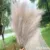 1Pcs Artificial Pampas Grass Home Room Decor Simulation Reed Flower Bouquet DIY Wedding Decoration Birthday Party Supplies 29