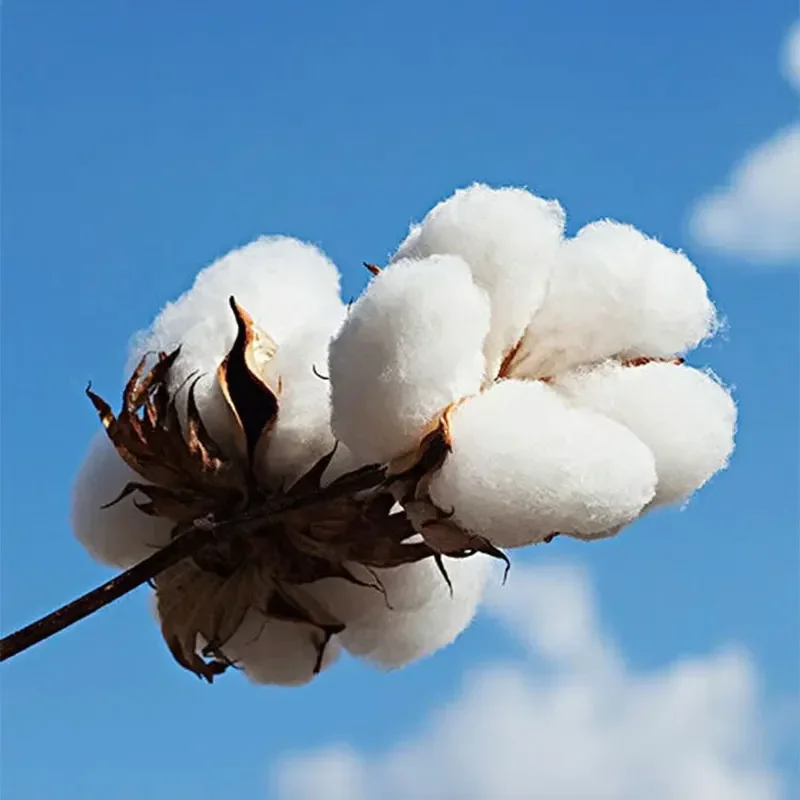500g/1000g Pillow Filling Feather Cotton Inner Stuffing Doll Toy Body Pillows Dakimakura Core Long Cushion High Quality Material 5