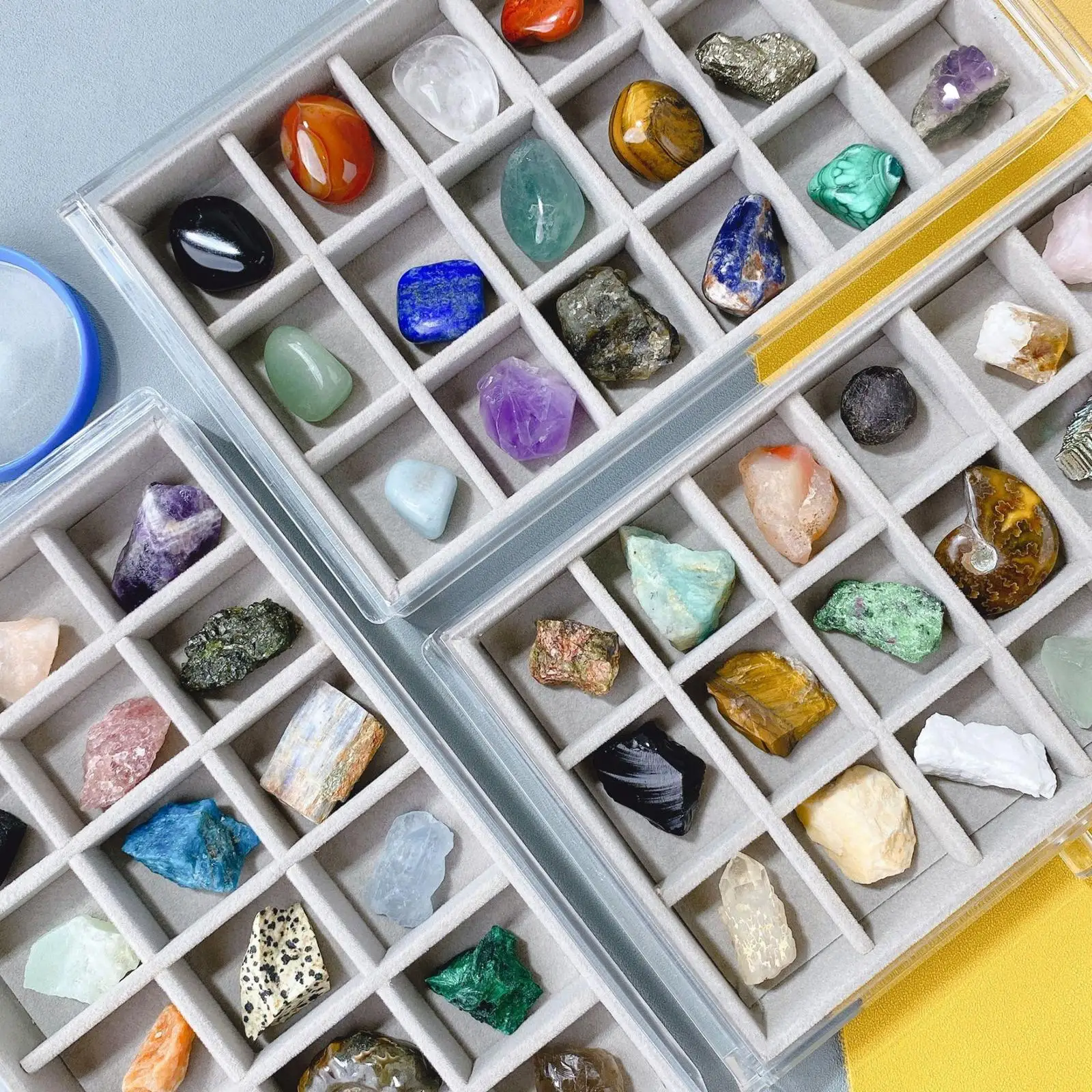 Rock Collection for Kids with Display Case Geology Science Stem