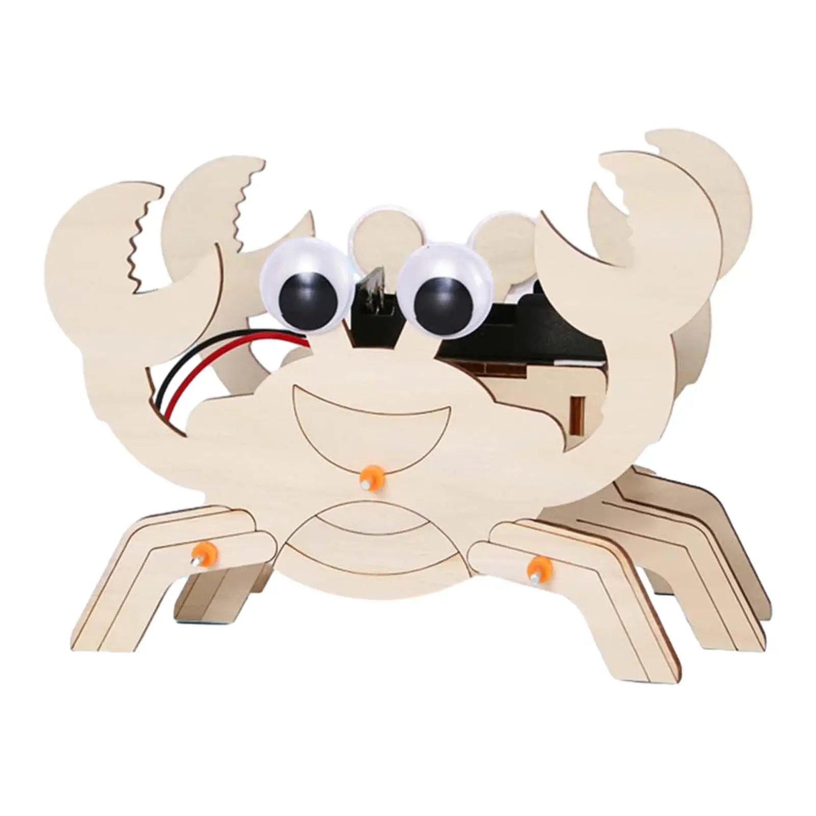 

Educational Technology Gifts Intelligent Toy Puzzle Wooden Assembling DIY Sciences Kits for Teaching Aids School Kids Children