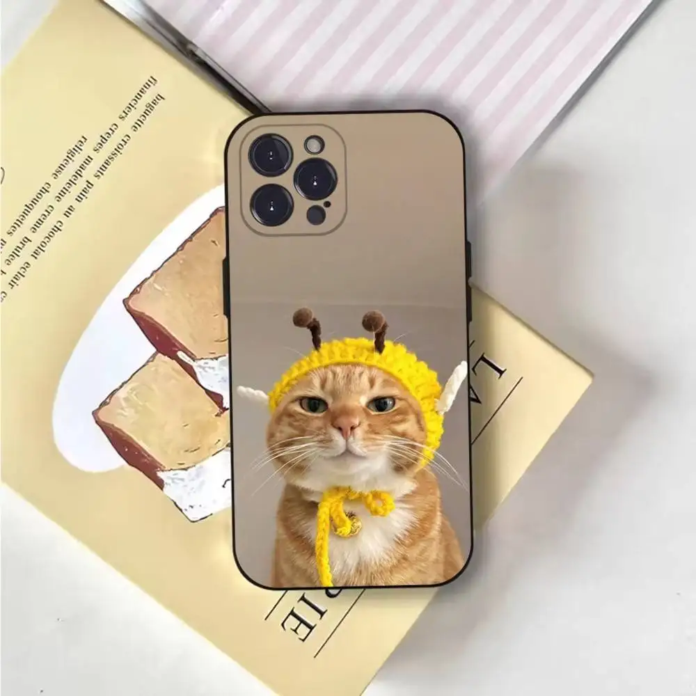 Funny Animal Cat Phone Case For iPhone 17 16 15 11 12 thumbnail 3