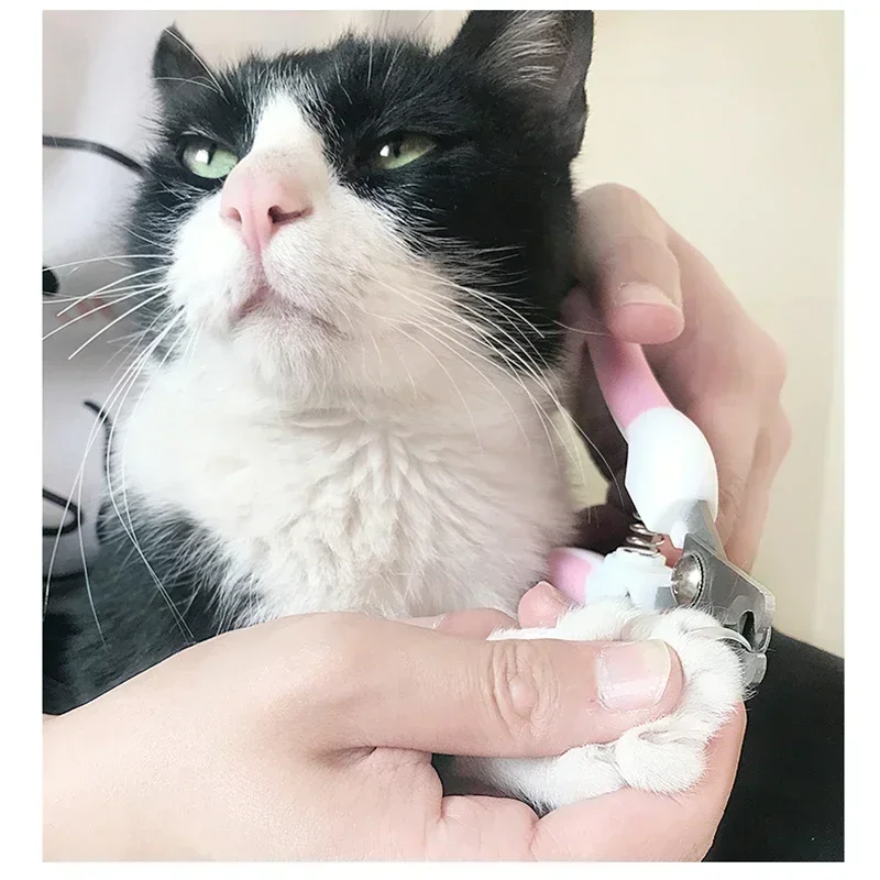 Professional Pet Cat Dog Nail Clipper Cutter Stainless Steel Grooming Scissors Clippers Claw Nail Scissors with Lock pet nail clipper,pet nail scissors