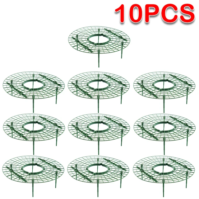 10Pcs