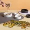 New Dog Accessories Mini Ceramic Pet Bowl Available in Black and White Eat and Drink Water Bowl for Puppy Dog Cat Pet Supplies 3