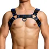 Arnés DM Rivets & Straps 4