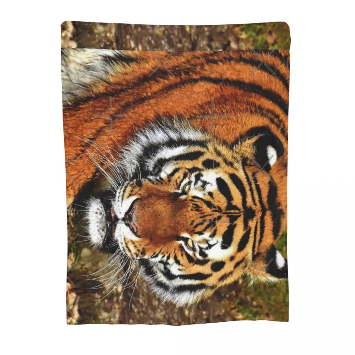 ��Ʈ�� ����Ʈ ����ũ�� �ø��� ���, Ÿ�̰�, �� Ÿ�̰�