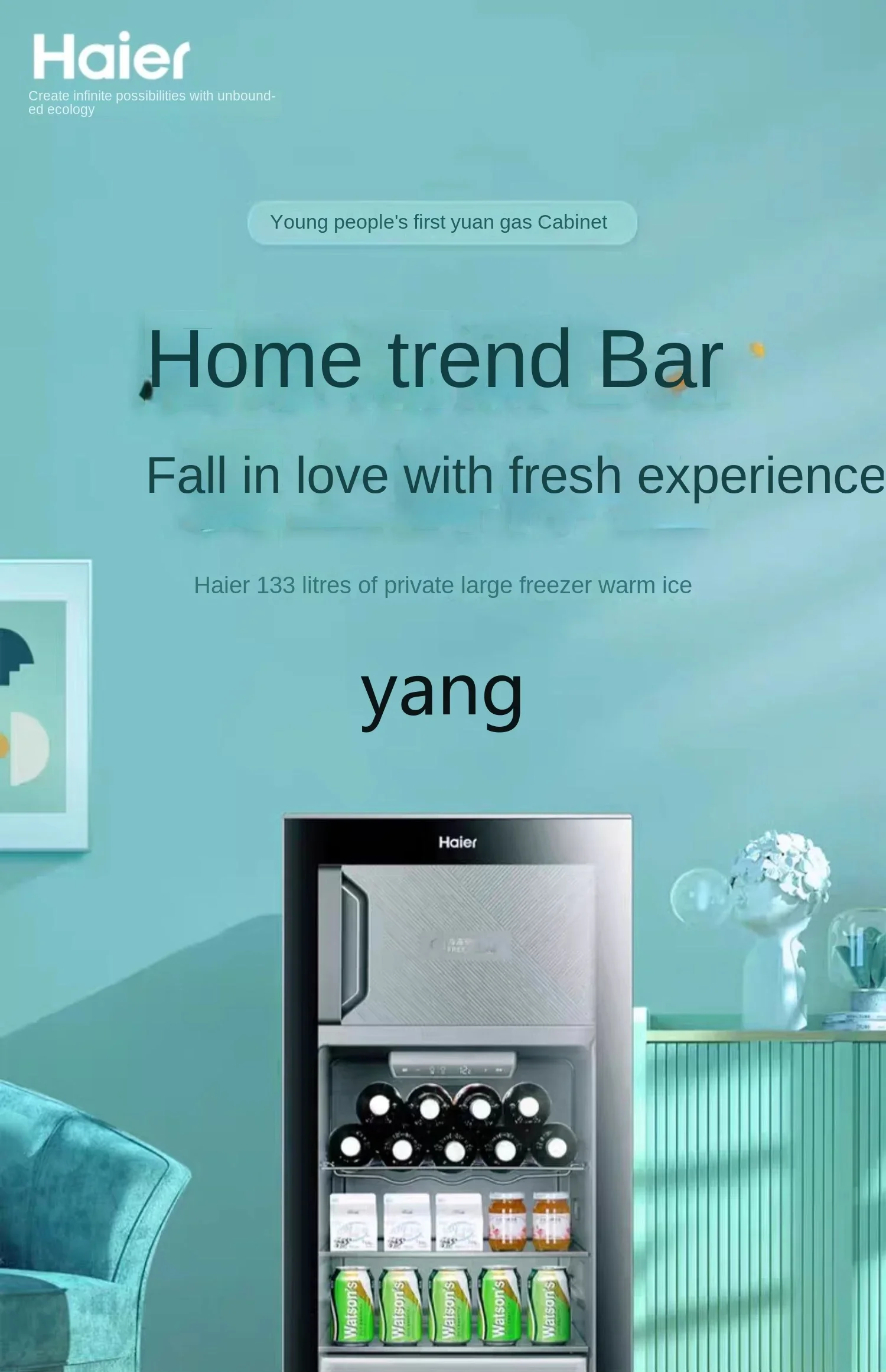 L'm'm Home Living Room Office Refrigerator Refrigerated Cabinet Freezer Warranty