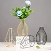 Nordic Simple Golden Glass Vase Hydroponic Plant Flower Vase Iron Geometric Glass Test Tube Metal Plant Holder Modern Home Decor 1
