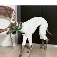 Fahison Whippet lévrier italien vêtements de luxe coton chien Jammies hiver chaud col roulé Stretch vêtements pour animaux de compagnie 2
