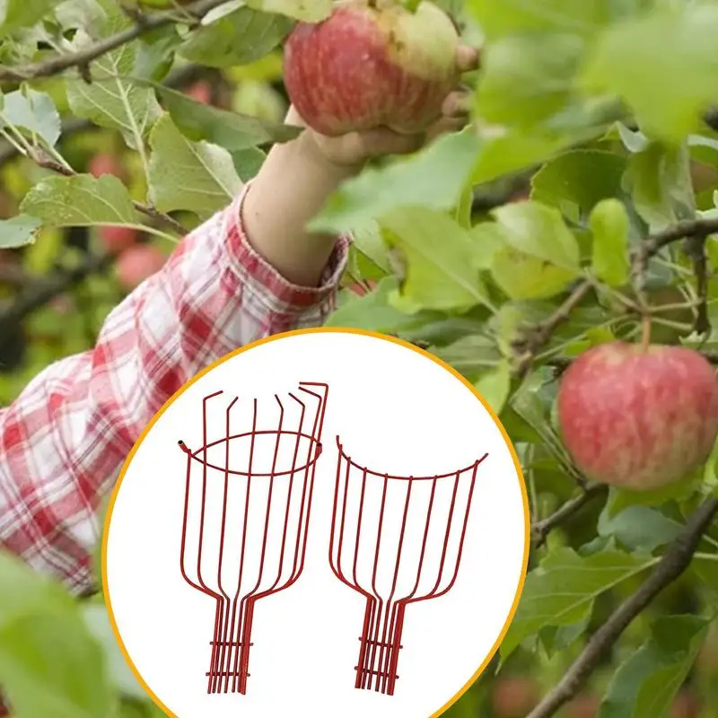 

Fruit Picker Pole Long Telescopic Metal Catcher Pole High-altitude Fruit Picker Picking Loquat Picking Bayberry Equipment Tool