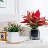 Double Layer Plastic Hydroponic Flowerpot 2