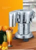 Electric Juice Extractor Stainless Steel Juice Machine Commercial Vertical Juice Dispenser Fruit/Vegetable Blender Juice Presser 2