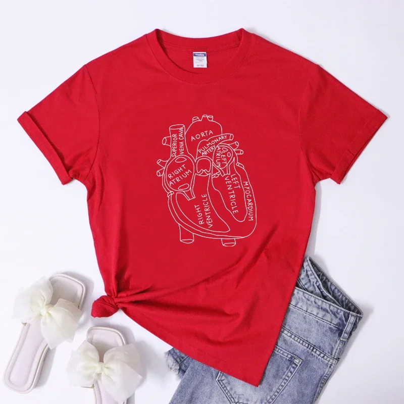 Sunwind Heart Specialist Anatomy Doctor Medical Biology T-Shirt - Unisex, 100% Cotton, Printed In USA - View #3