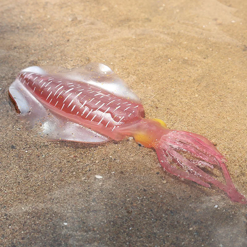 POPETPOP 2 Pièces Poisson Artificiel Nourriture Daffichage du Marché Jouet  Poisson en Plastique Figurine De Créature Marine De Locéan Jouet Poisson  Chat Enfant Poisson Animal : : Animalerie