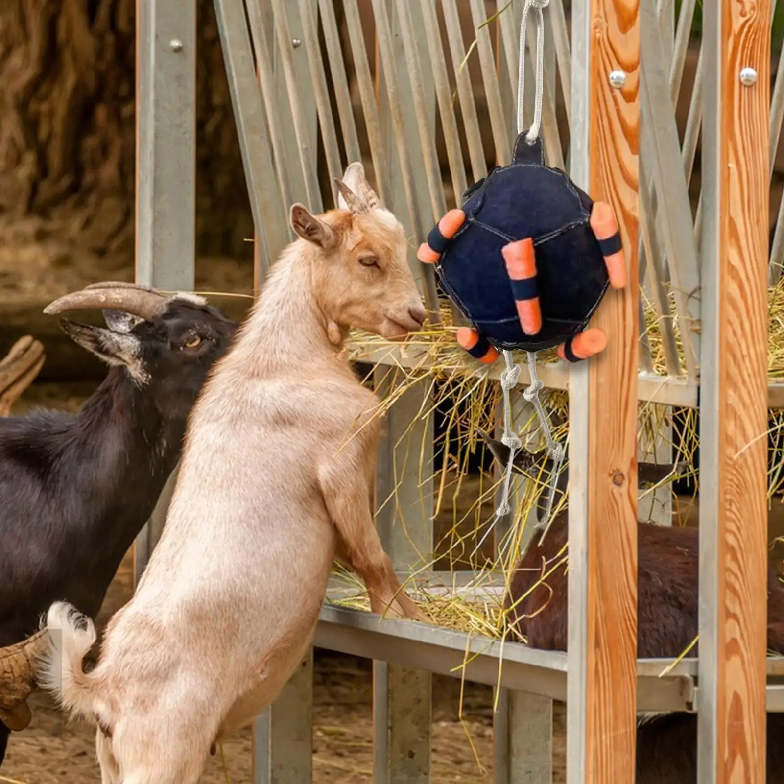 Horse Interactive Carrot Training Feeding Catch Ball Black Interactive Toys goats sheep Horse Supplies Carrot Feeding Ball Toy