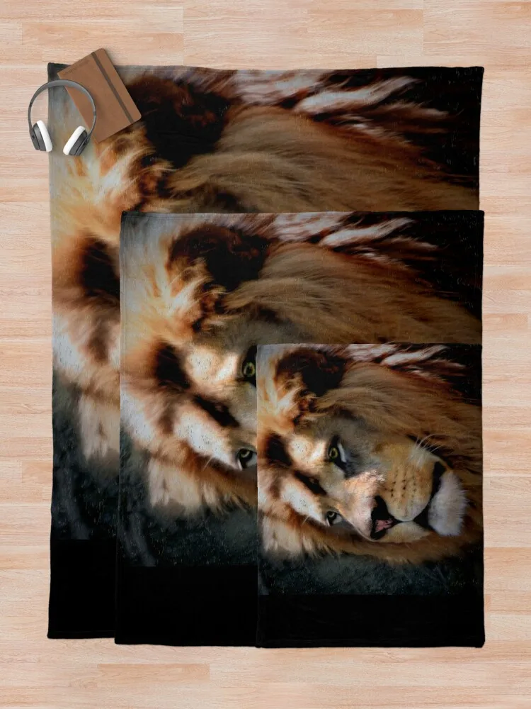 �� ���� ������ ���, ħ�� ���