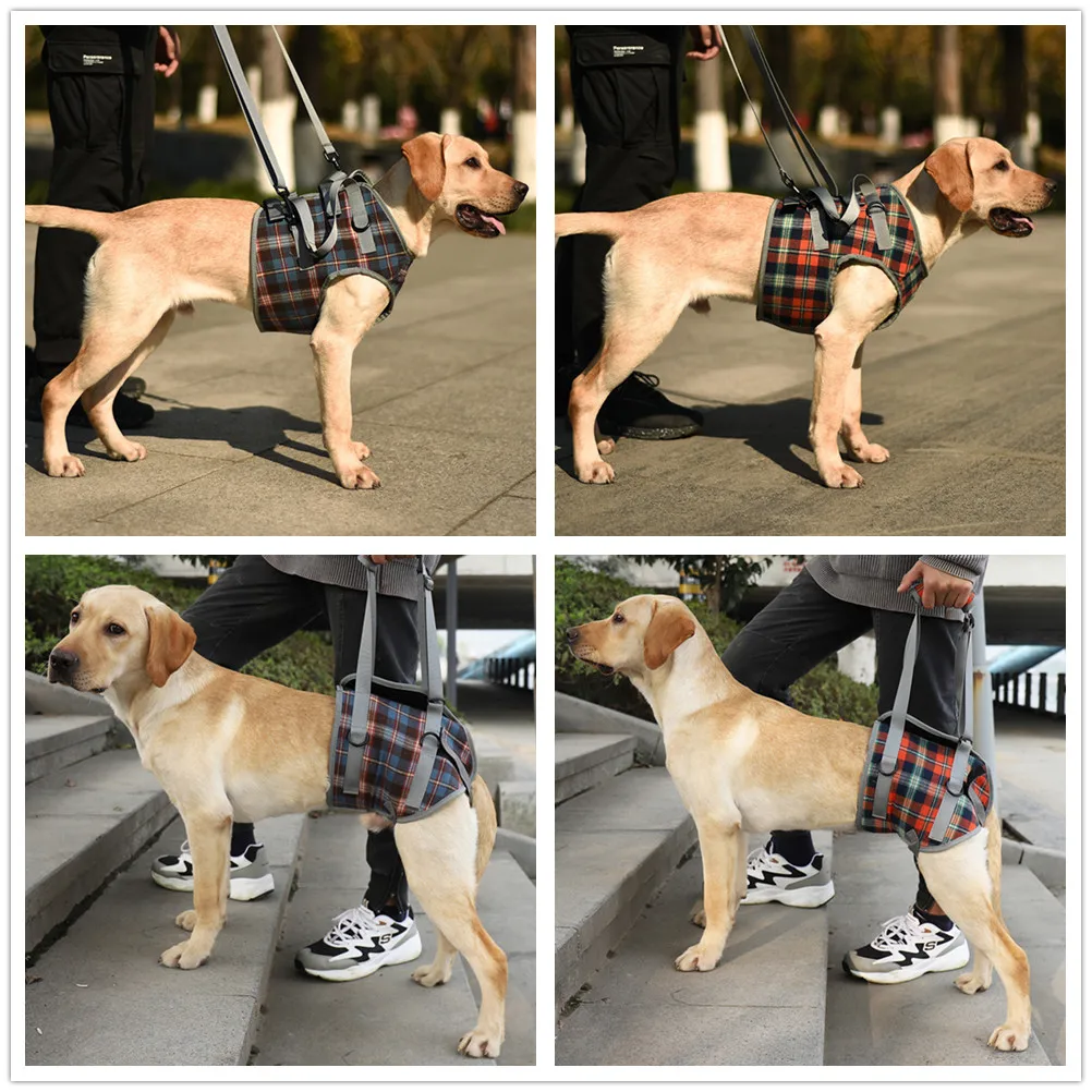 Adjustable-Dog-Support-Harness-for-Front-and-Rear-Legs-Lifting-Rehabilitation-Vest-for-Old-Dogs-with.jpg