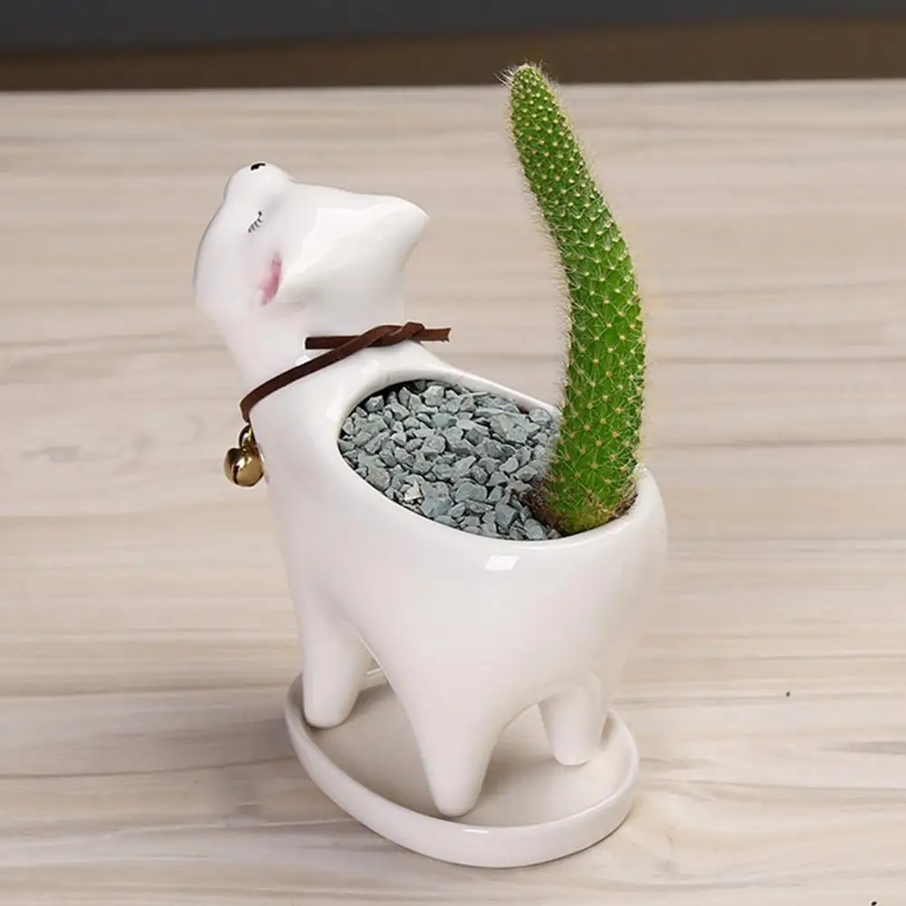 

Succulent Pot Fancy Cat Shape Corrosion-resistant Farmhouse Small Succulent Pot Desktop Decor Flower Pot Plant Pot